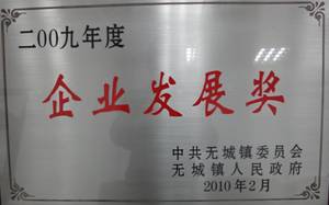 2009年度企業(yè)發(fā)展獎